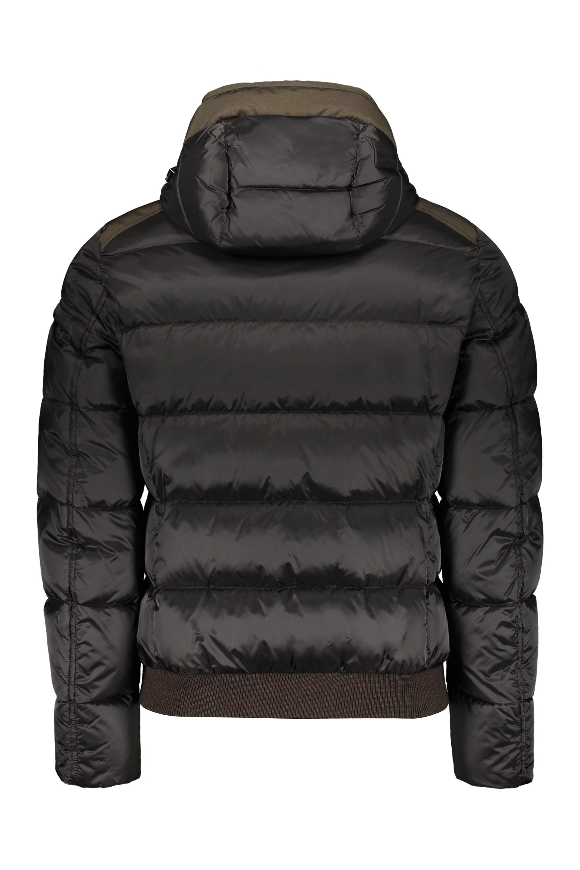 Modern winter bomber