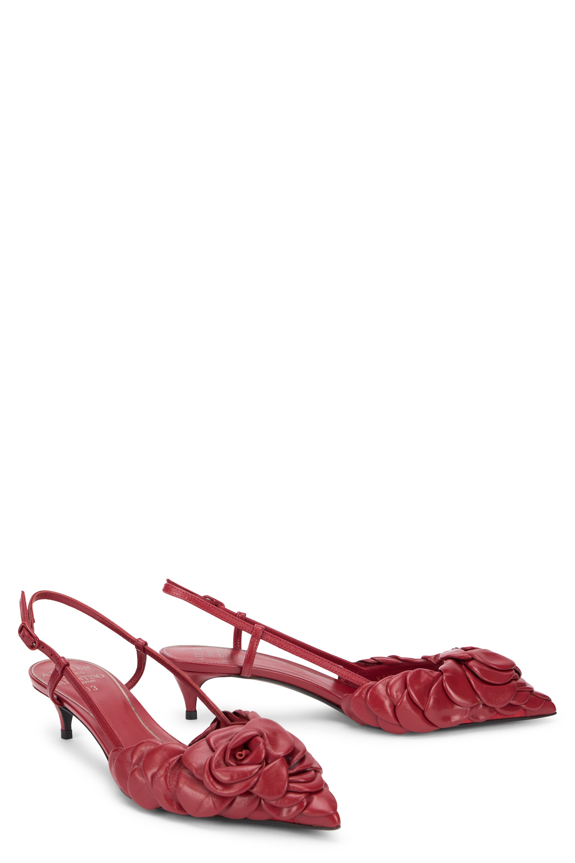 Elegant pointed slingback with heel