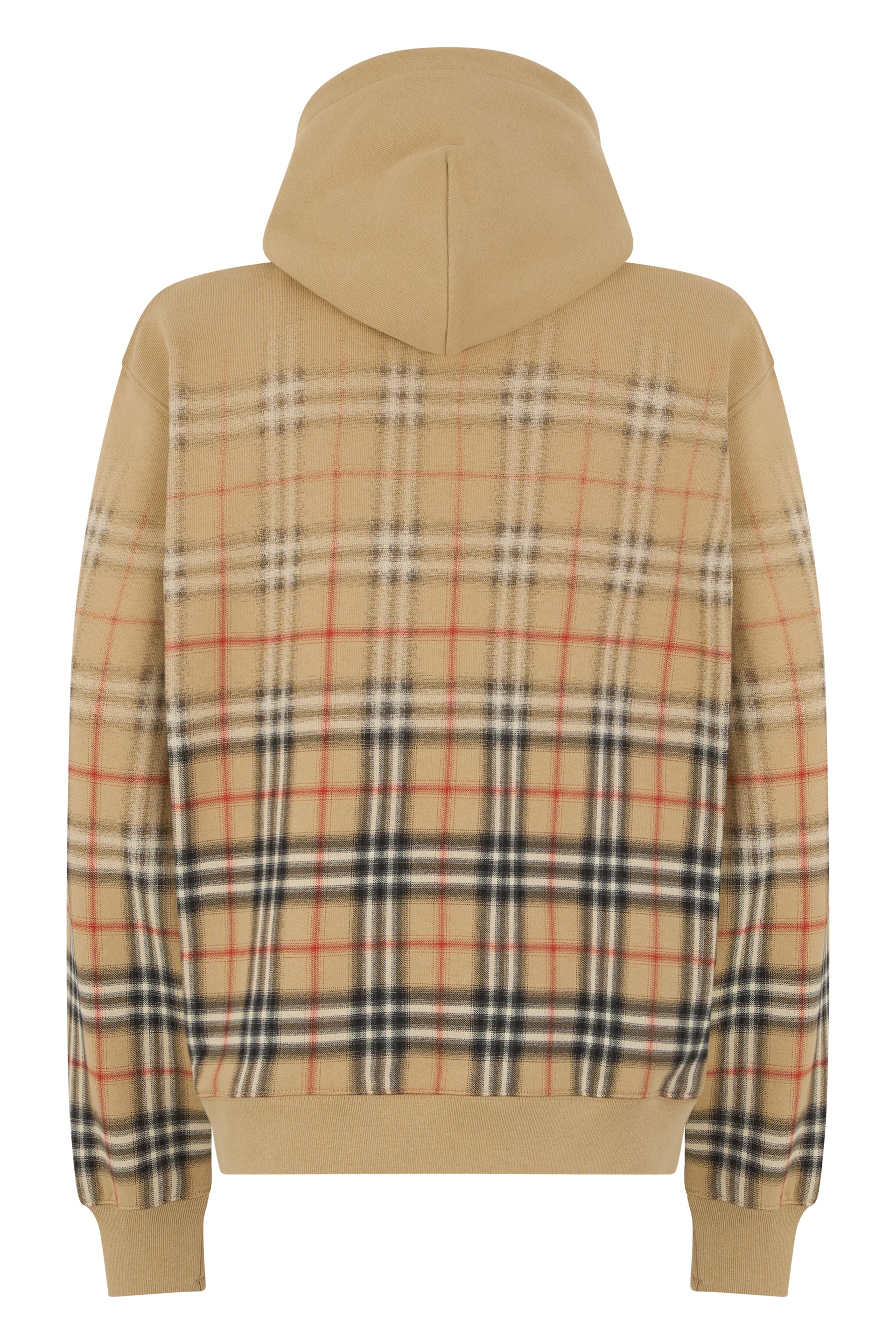 Hoodie with zipper in cotton