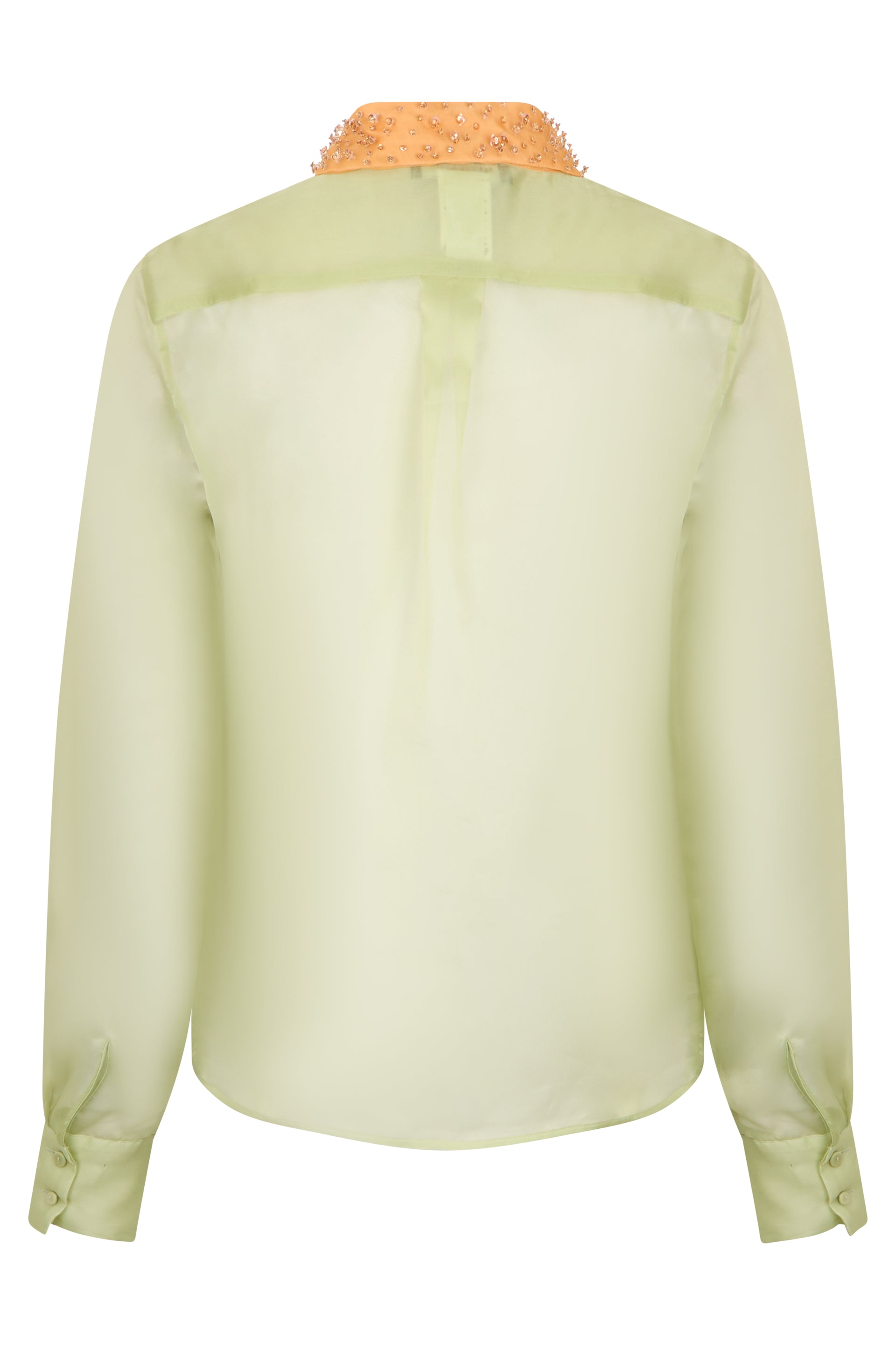 Light green shirt with elegant orange collar