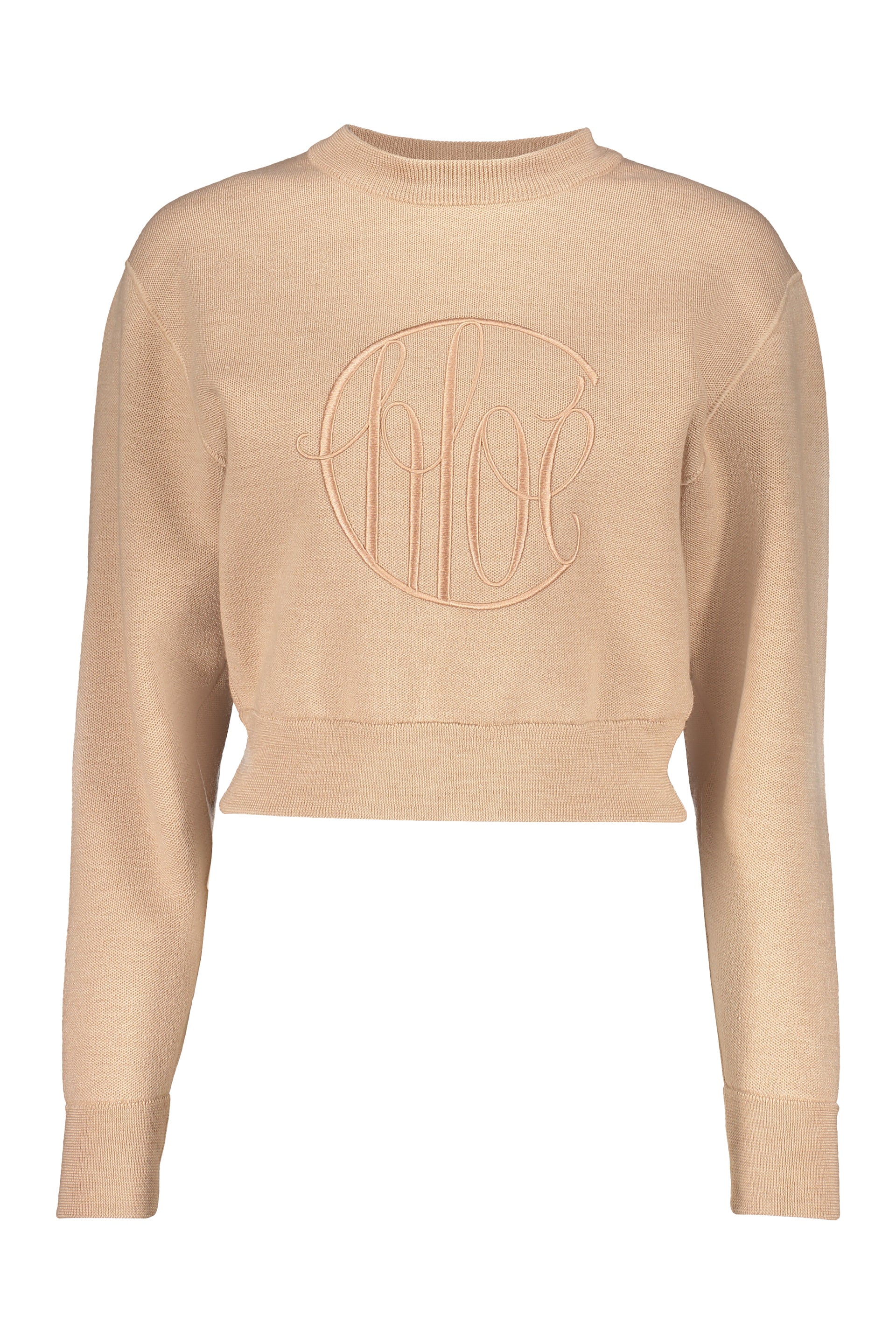 Cropped Sweater Long Sleeves Elegant Neutral