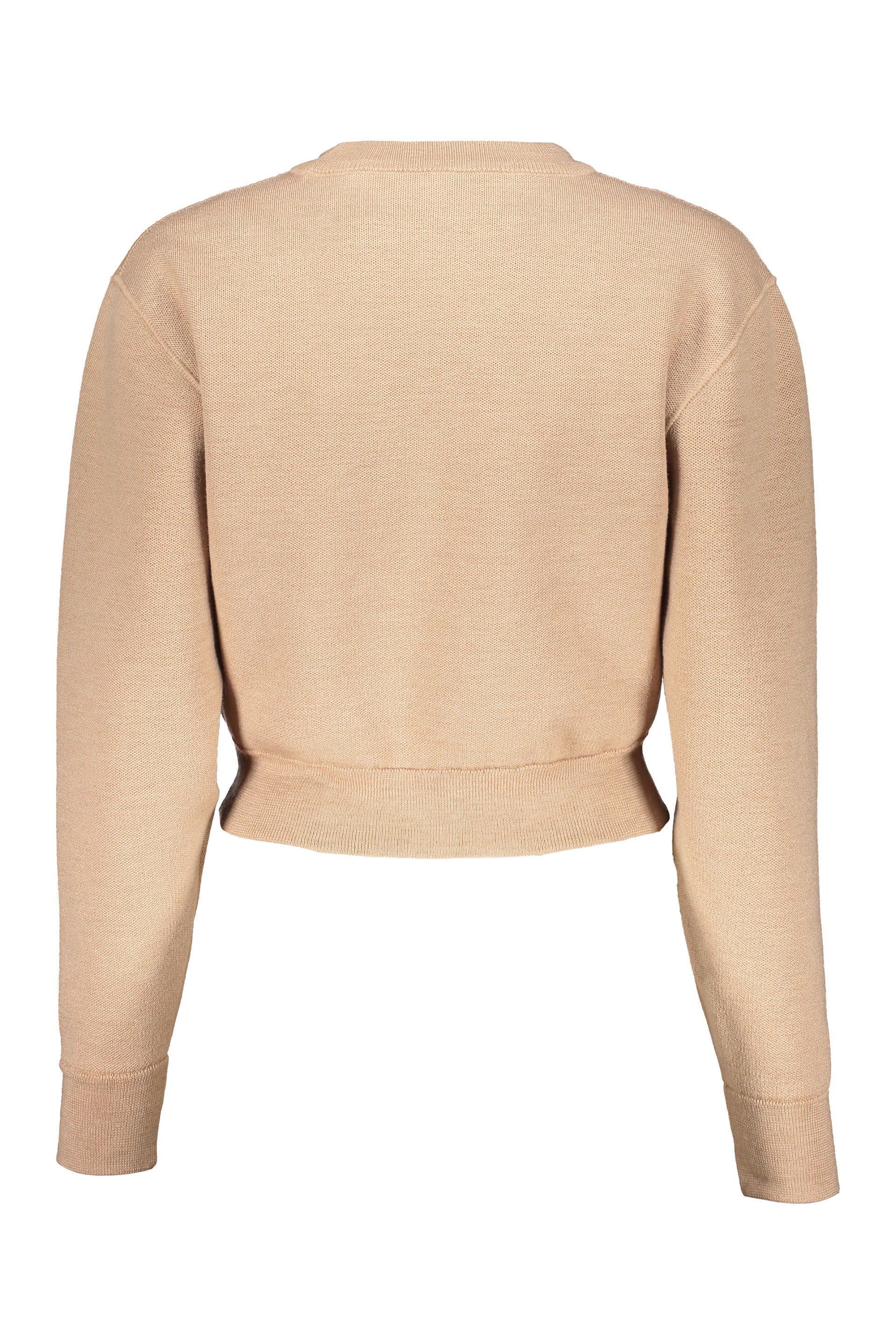 Cropped Sweater Long Sleeves Elegant Neutral