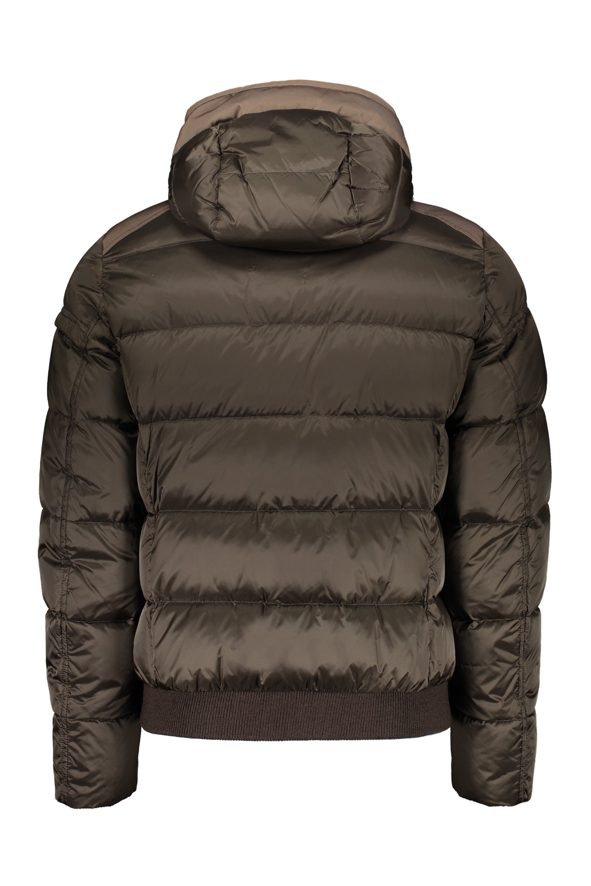 Modern winter bomber