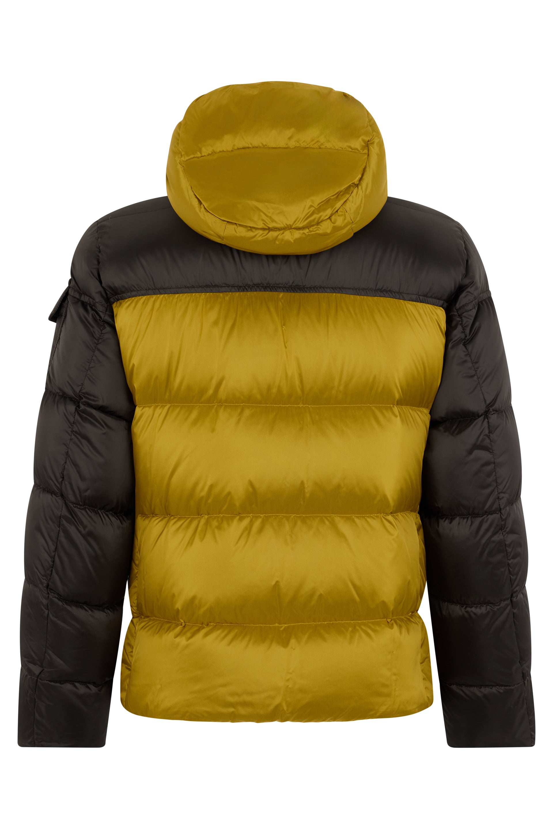 Bicolor padded jacket with removable hood