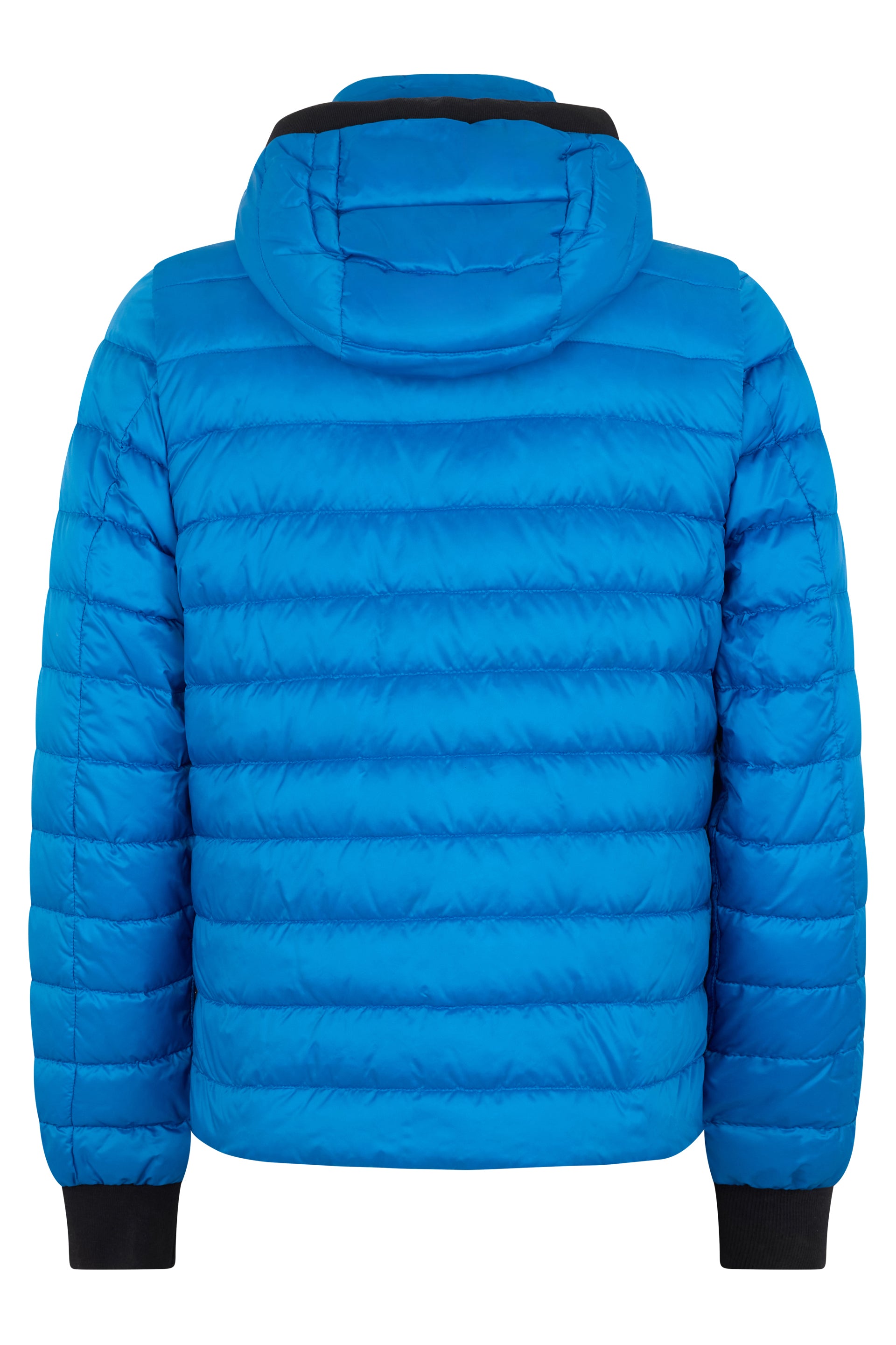 Blue padded jacket with hood and zip
