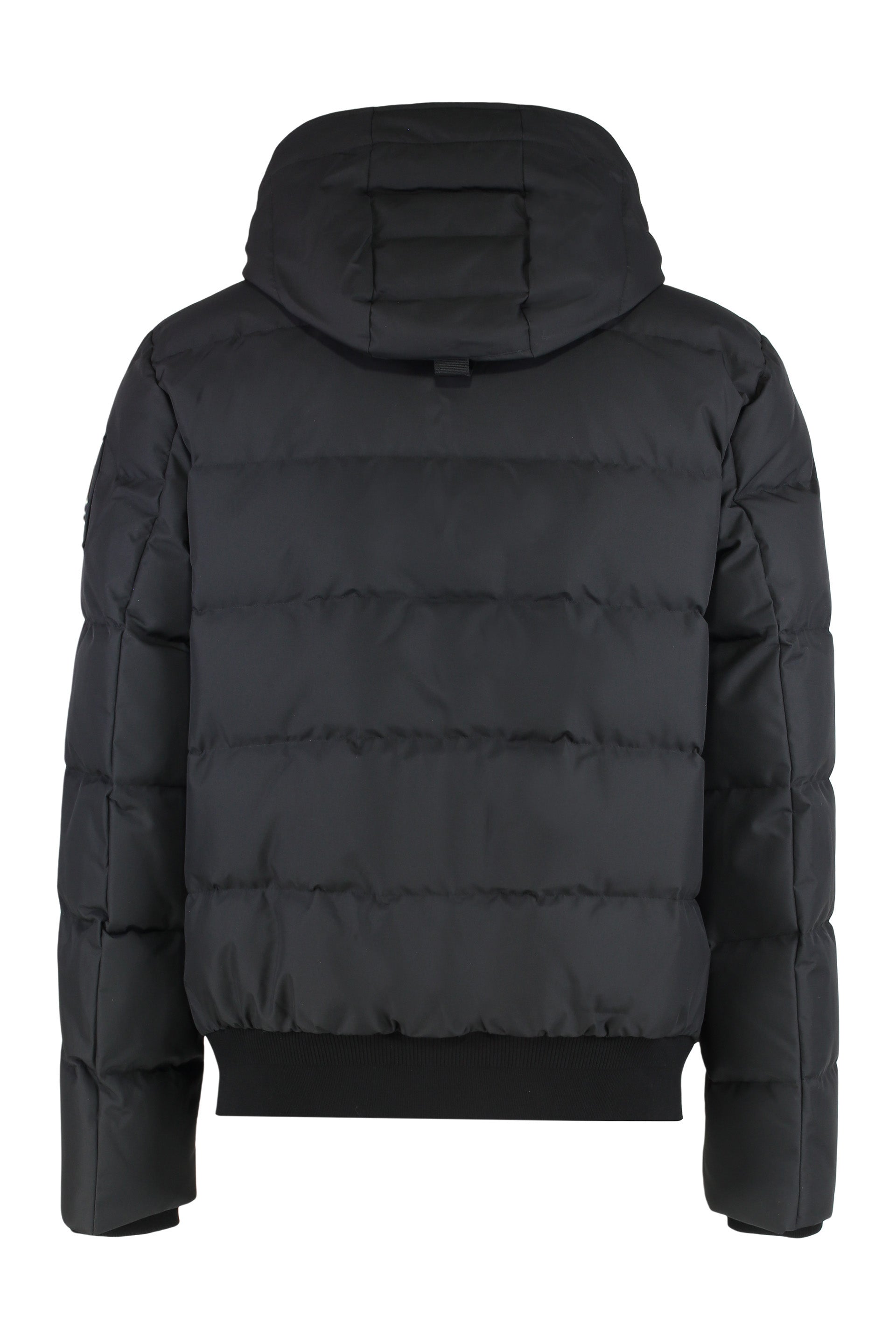 Cloud bomber jacket with lambskin finishes