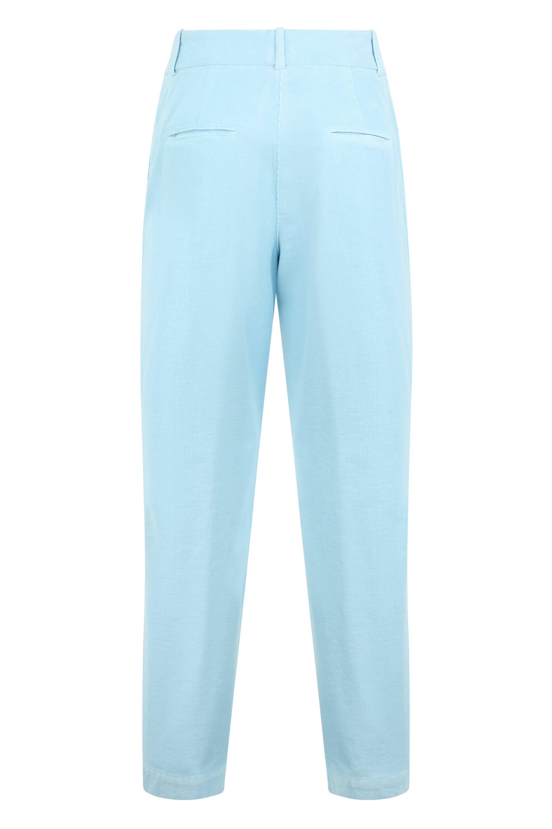 Pants with elegant blue striped design.