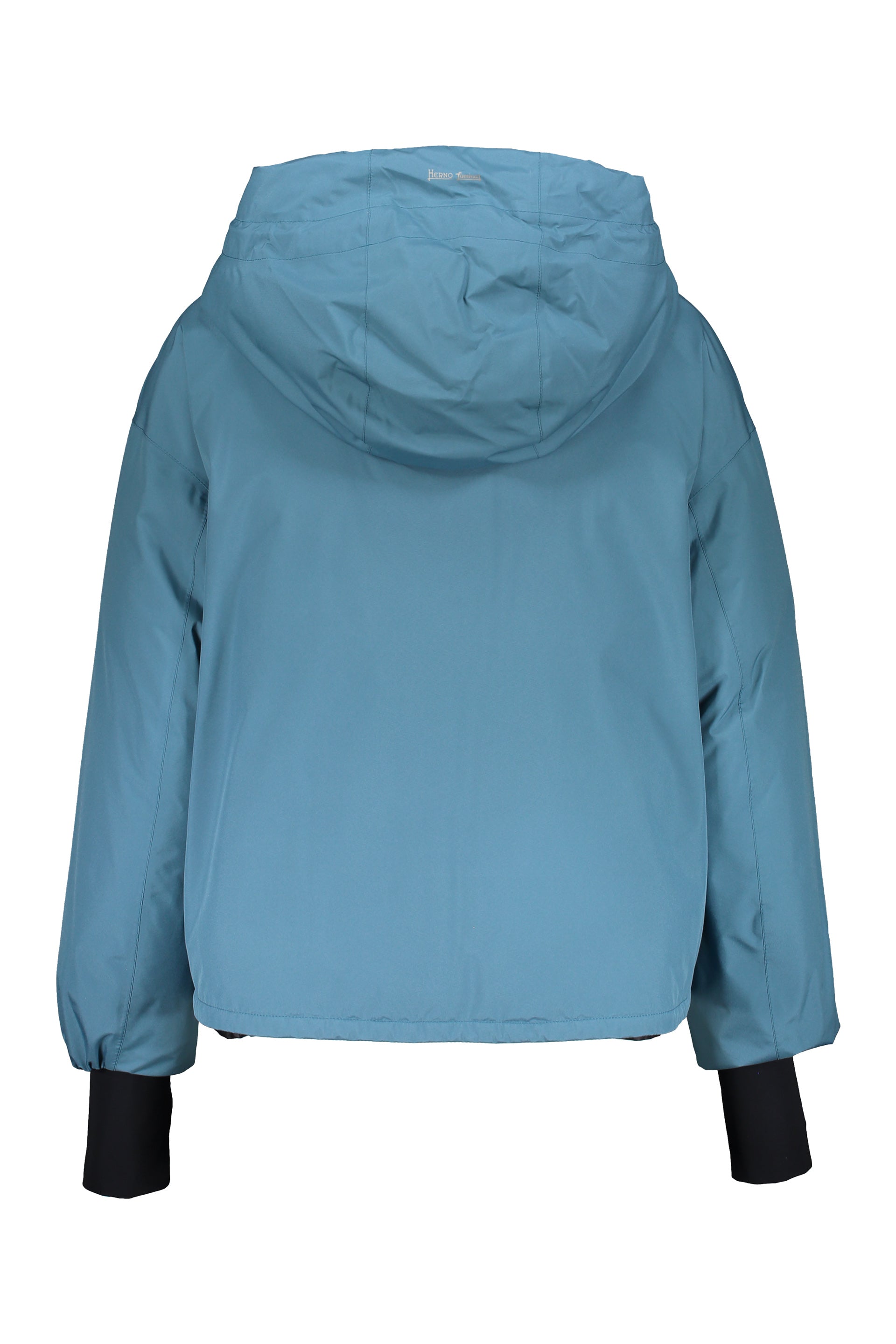 Modern down jacket with hood and zip